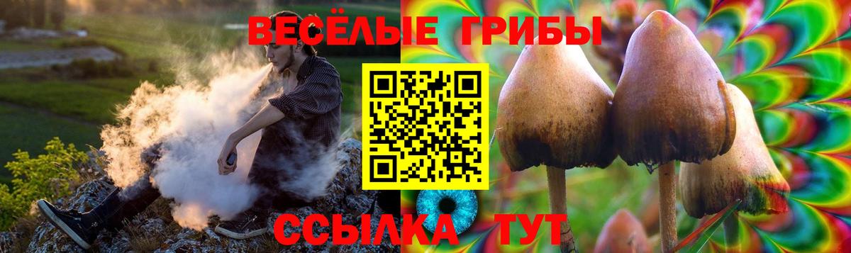Псилоцибиновые грибы Psilocybine cubensis Елабуга