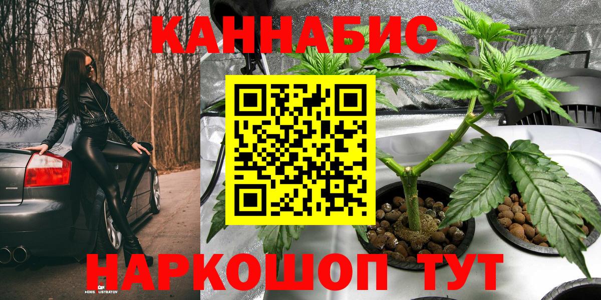 Альфа ПВП Елабуга